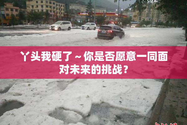 丫头我硬了～你是否愿意一同面对未来的挑战？