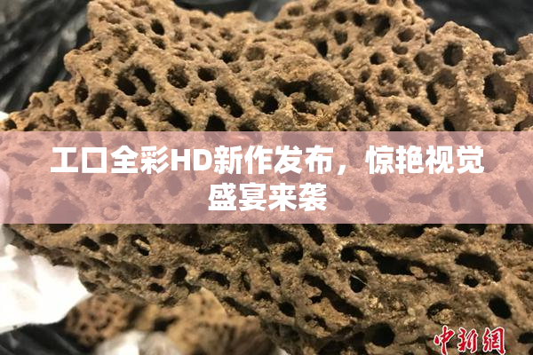 工口全彩HD新作发布，惊艳视觉盛宴来袭