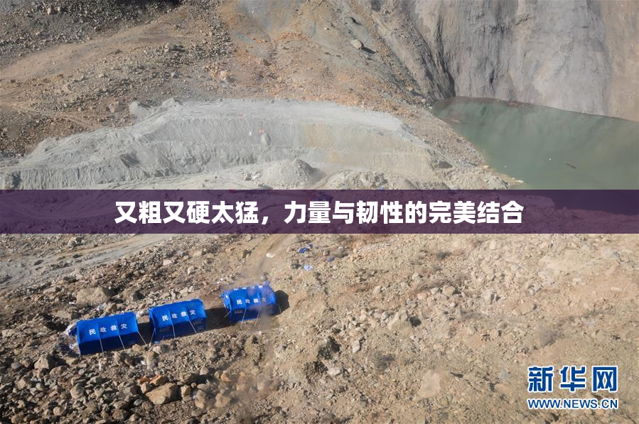 又粗又硬太猛，力量与韧性的完美结合