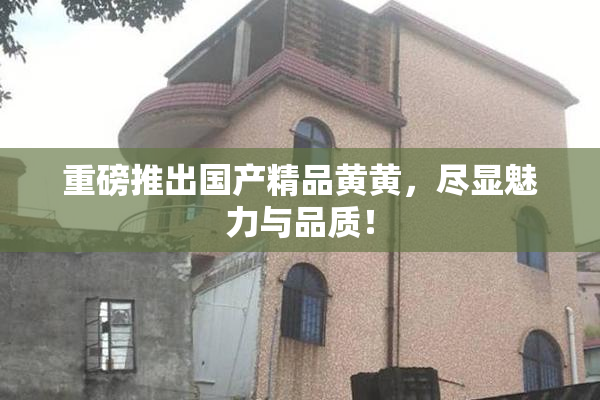 重磅推出国产精品黄黄，尽显魅力与品质！