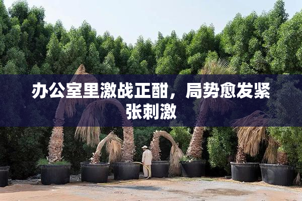办公室里激战正酣，局势愈发紧张刺激