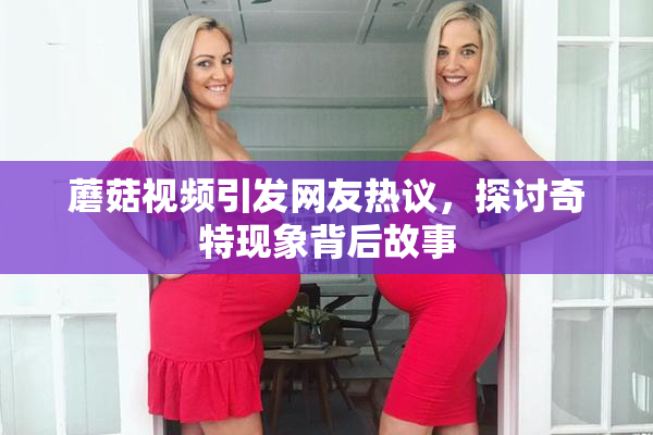 蘑菇视频引发网友热议，探讨奇特现象背后故事