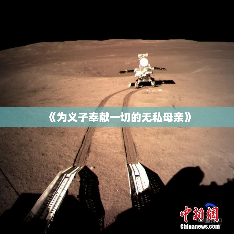《为义子奉献一切的无私母亲》