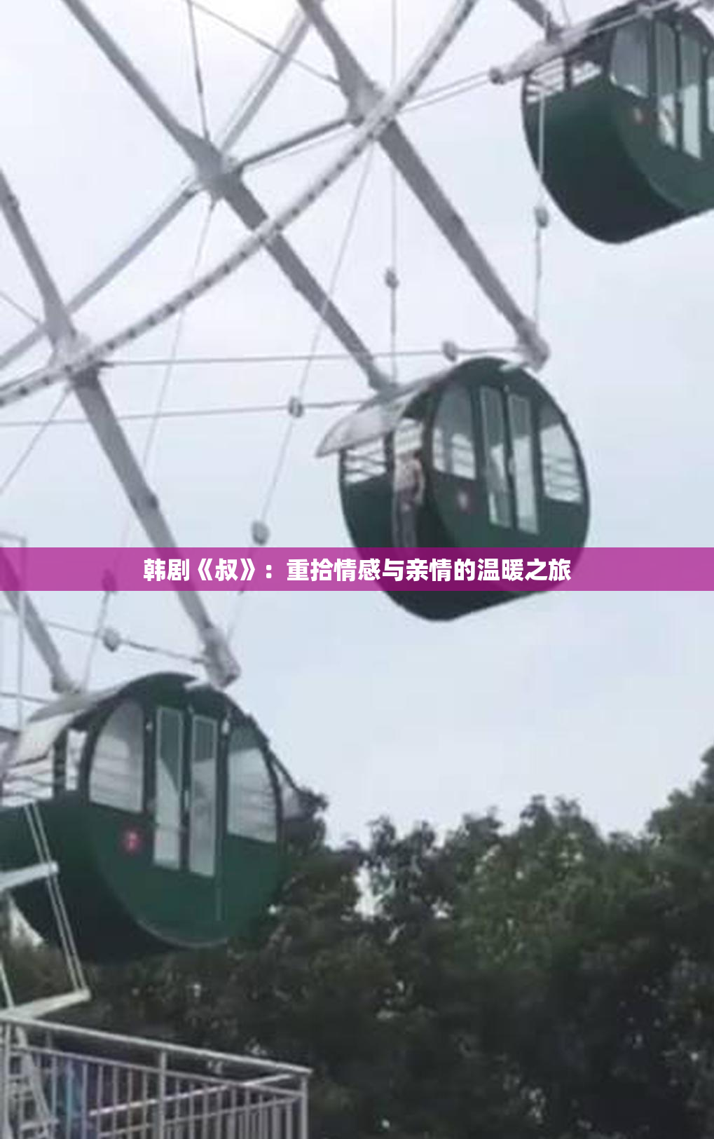 韩剧《叔》：重拾情感与亲情的温暖之旅