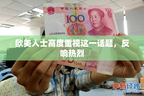 欧美人士高度重视这一话题，反响热烈