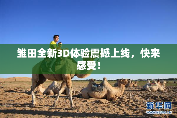 雏田全新3D体验震撼上线，快来感受！