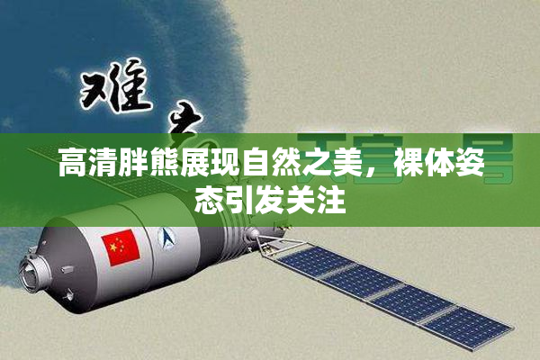 高清胖熊展现自然之美，裸体姿态引发关注