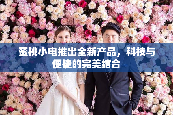 蜜桃小电推出全新产品，科技与便捷的完美结合