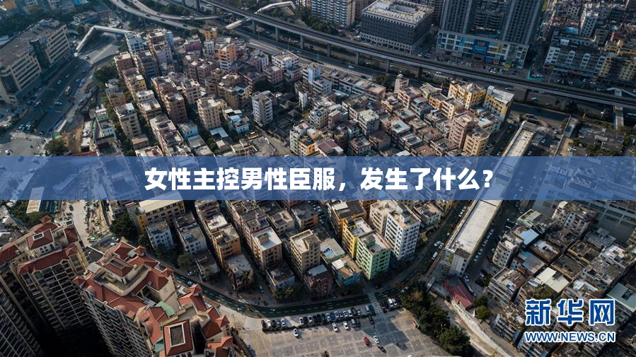 女性主控男性臣服，发生了什么？
