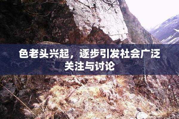 色老头兴起，逐步引发社会广泛关注与讨论