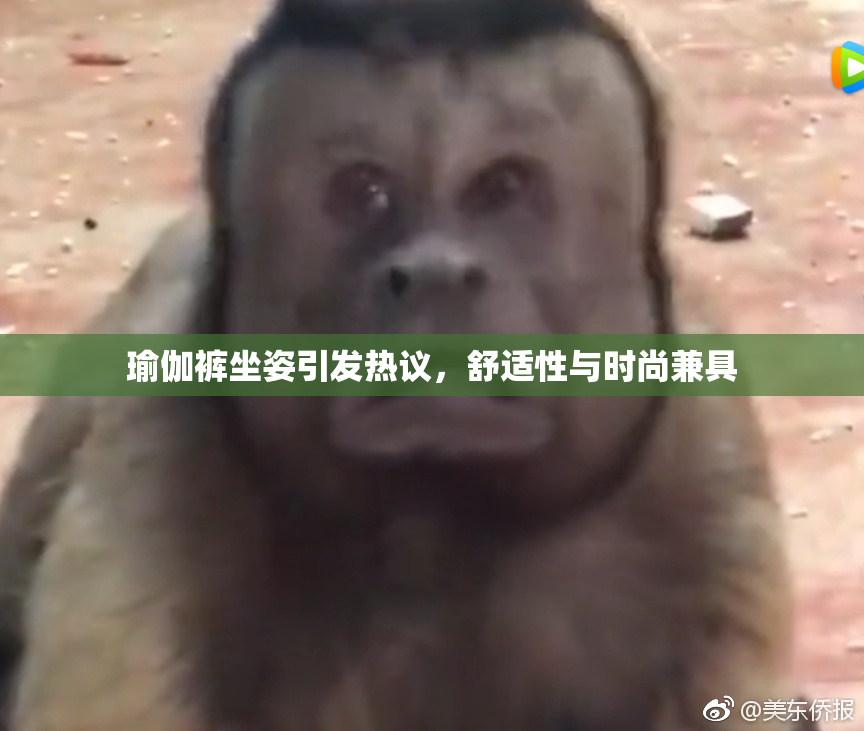 瑜伽裤坐姿引发热议，舒适性与时尚兼具