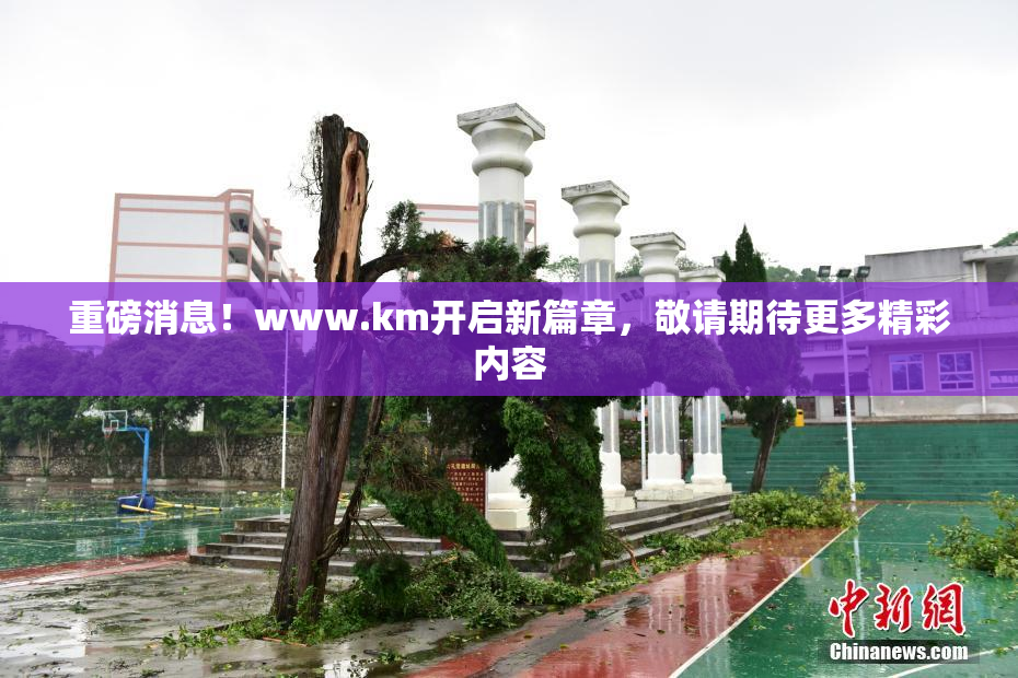 重磅消息！www.km开启新篇章，敬请期待更多精彩内容
