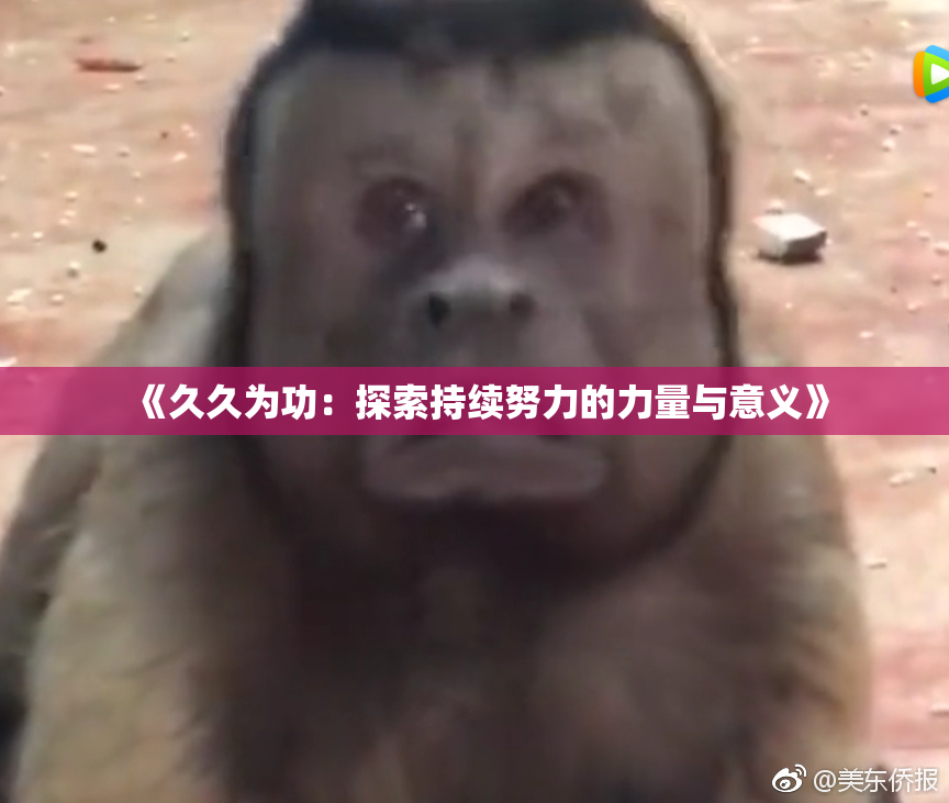 《久久为功：探索持续努力的力量与意义》