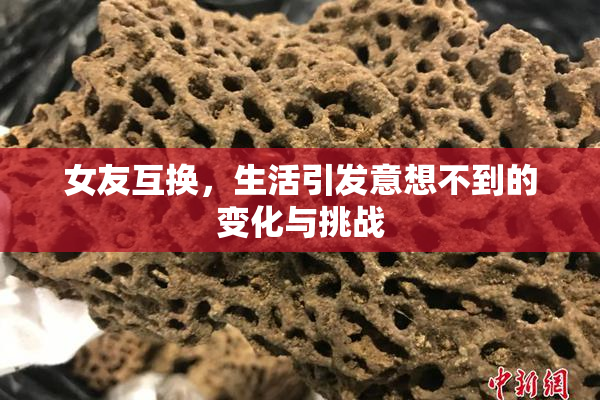 女友互换，生活引发意想不到的变化与挑战