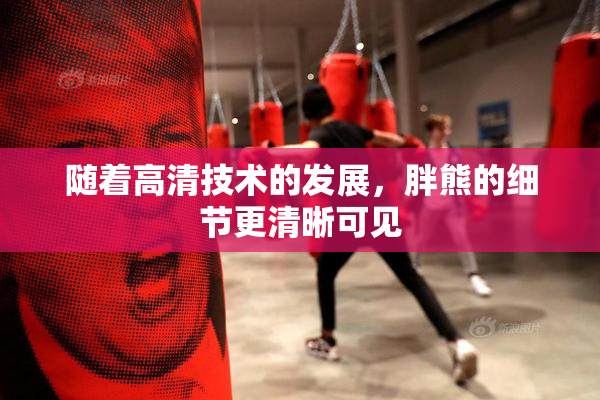 随着高清技术的发展，胖熊的细节更清晰可见