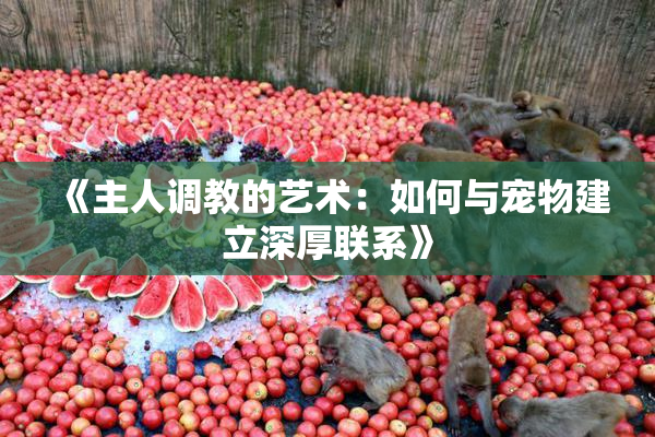 《主人调教的艺术：如何与宠物建立深厚联系》