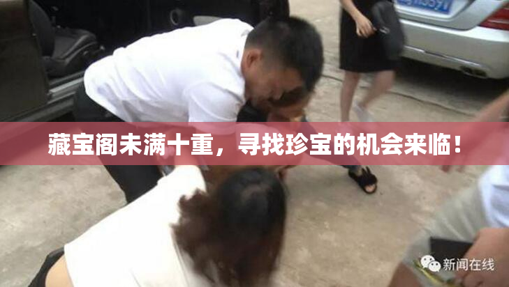 藏宝阁未满十重，寻找珍宝的机会来临！