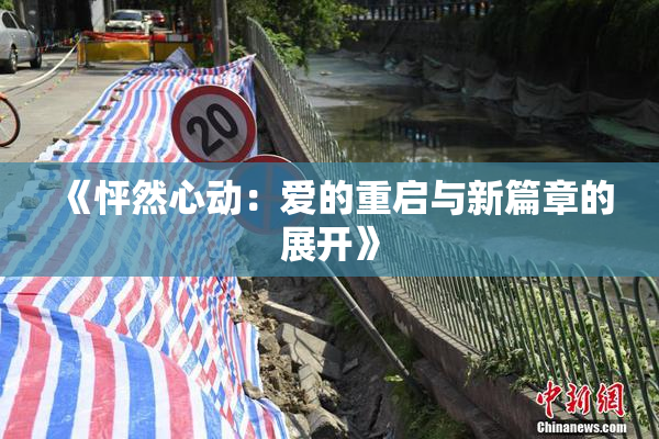 《怦然心动：爱的重启与新篇章的展开》