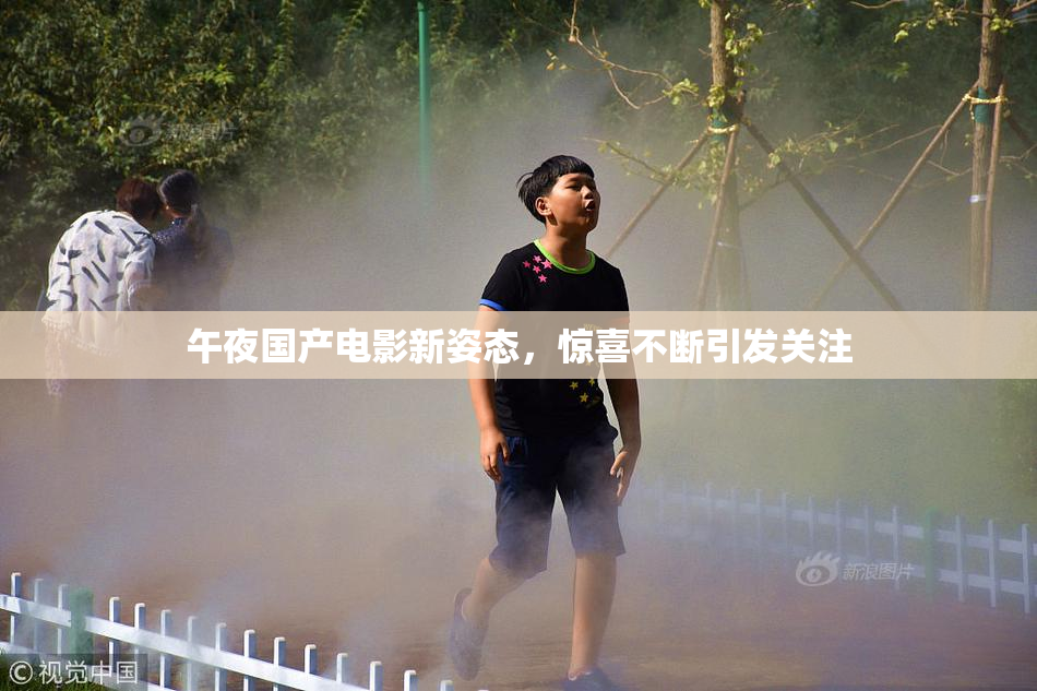 午夜国产电影新姿态，惊喜不断引发关注