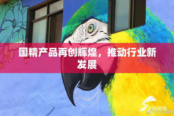 国精产品再创辉煌，推动行业新发展