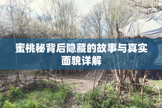 蜜桃秘背后隐藏的故事与真实面貌详解