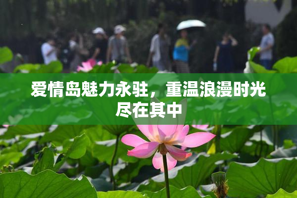 爱情岛魅力永驻，重温浪漫时光尽在其中