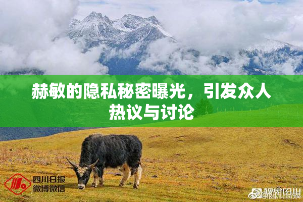 赫敏的隐私秘密曝光，引发众人热议与讨论