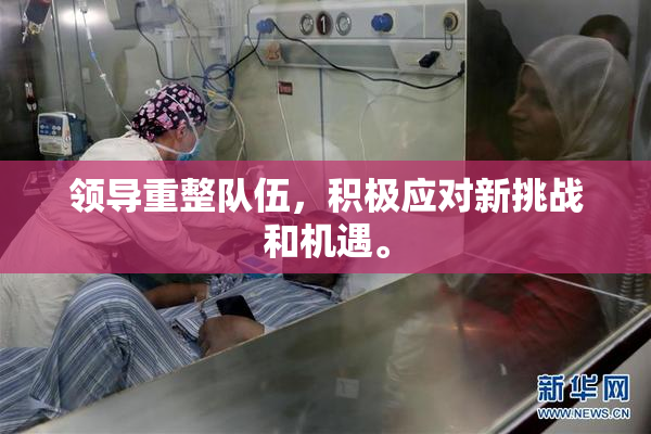 领导重整队伍，积极应对新挑战和机遇。