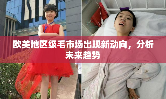 欧美地区级毛市场出现新动向，分析未来趋势