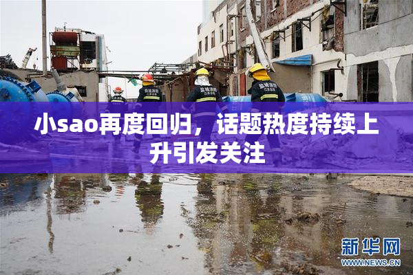 小sao再度回归，话题热度持续上升引发关注