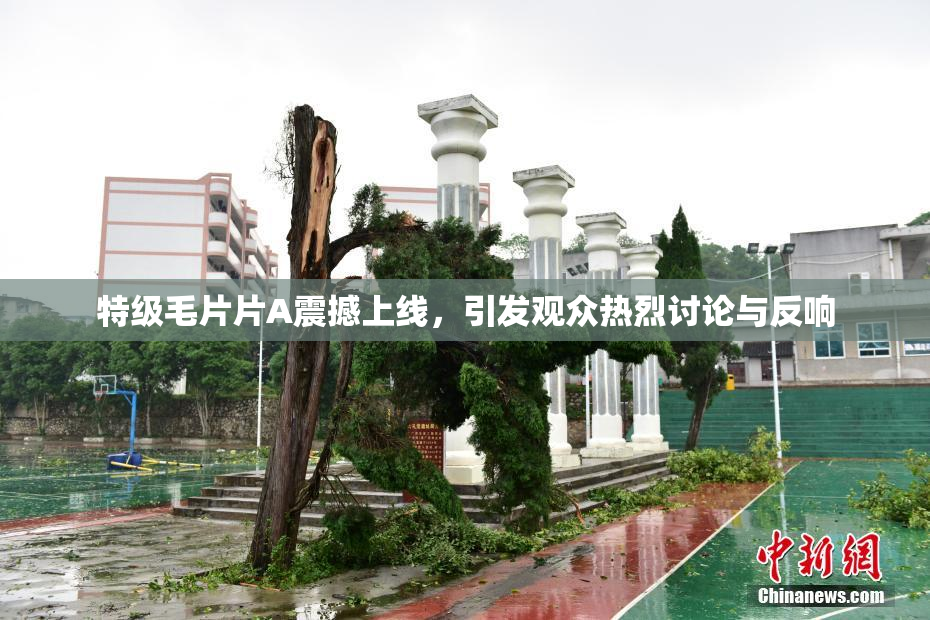 特级毛片片A震撼上线，引发观众热烈讨论与反响