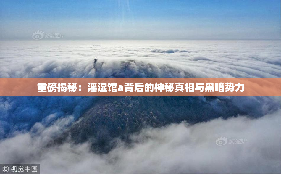重磅揭秘：淫湿馆a背后的神秘真相与黑暗势力