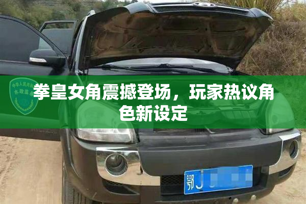 拳皇女角震撼登场，玩家热议角色新设定