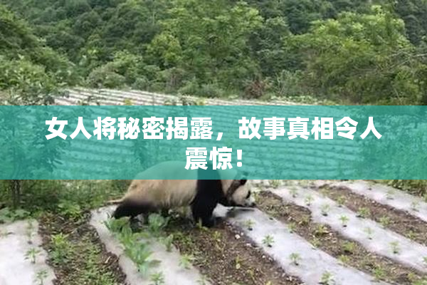 女人将秘密揭露，故事真相令人震惊！