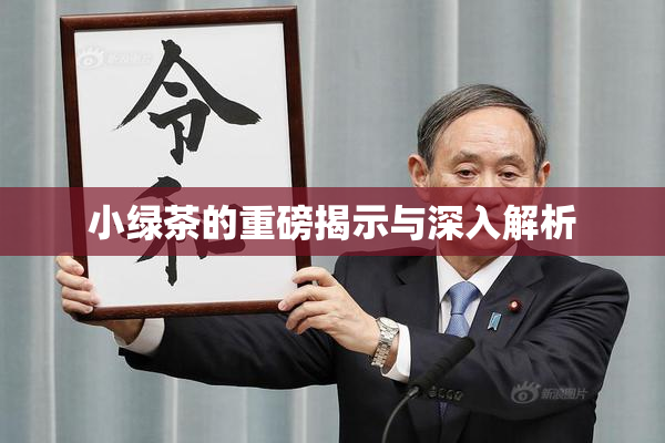 小绿茶的重磅揭示与深入解析