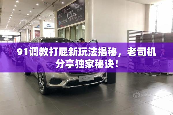 91调教打屁新玩法揭秘，老司机分享独家秘诀！