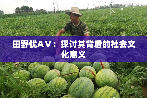 田野忧AⅤ：探讨其背后的社会文化意义