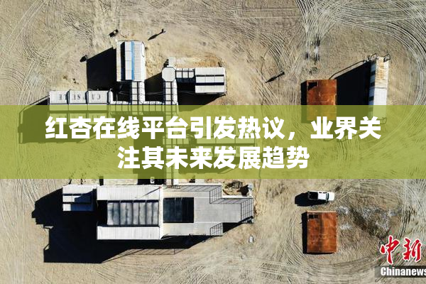 红杏在线平台引发热议，业界关注其未来发展趋势