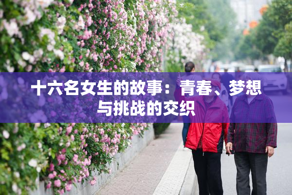 十六名女生的故事：青春、梦想与挑战的交织