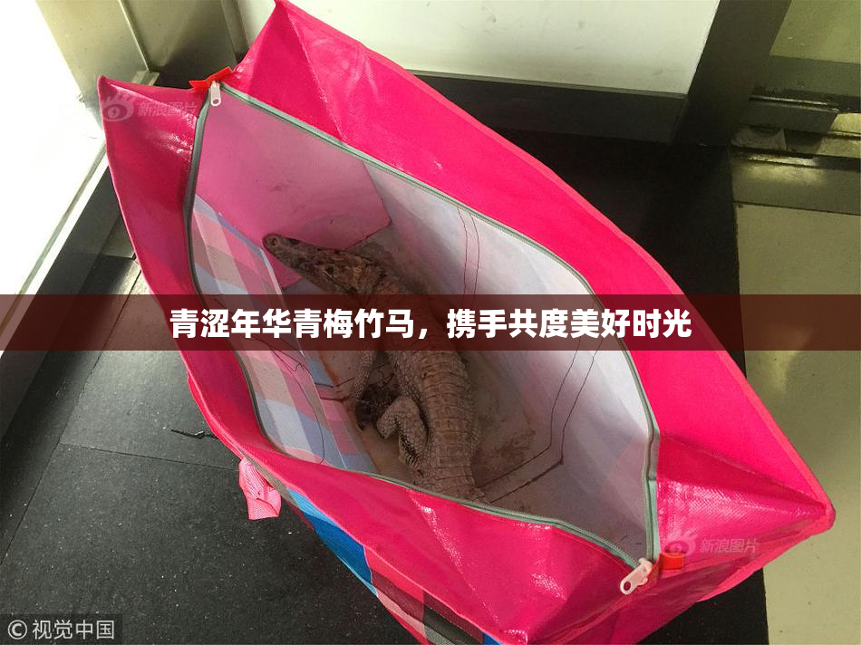 青涩年华青梅竹马，携手共度美好时光