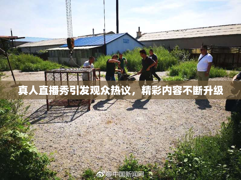 真人直播秀引发观众热议，精彩内容不断升级