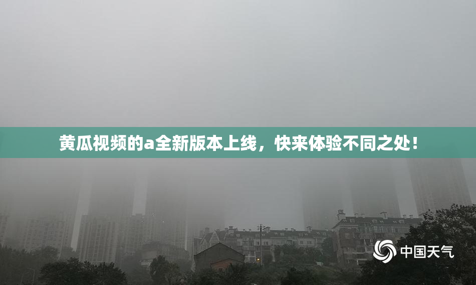 黄瓜视频的a全新版本上线，快来体验不同之处！
