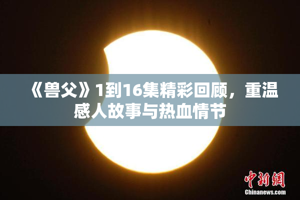 《兽父》1到16集精彩回顾，重温感人故事与热血情节