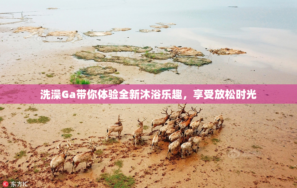 洗澡Ga带你体验全新沐浴乐趣，享受放松时光
