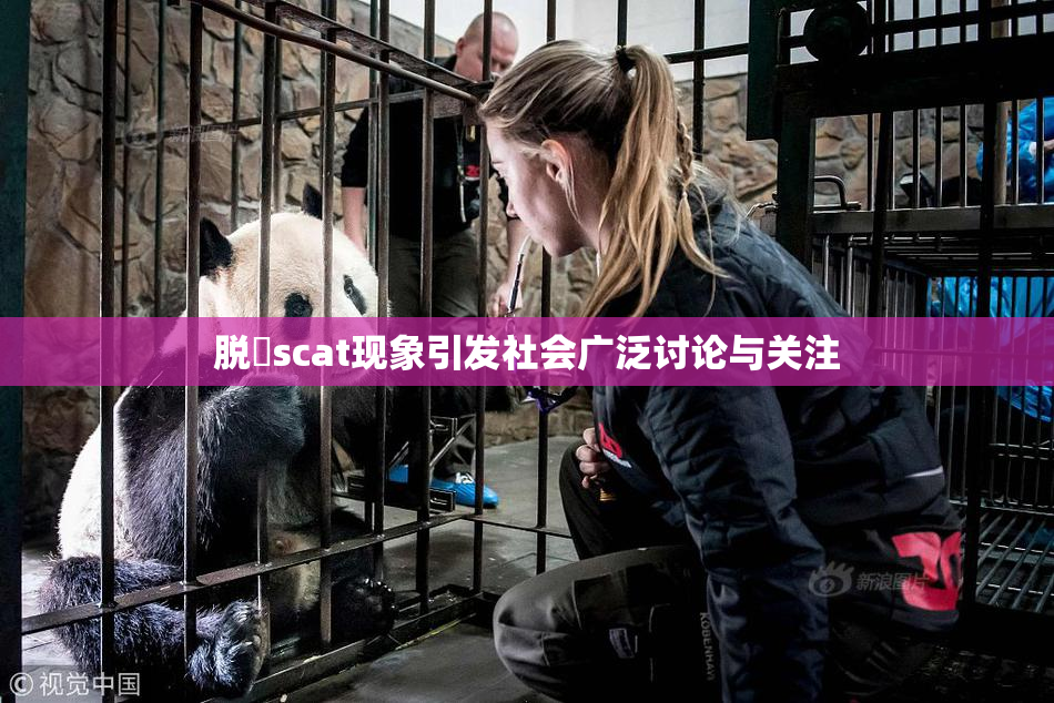 脱糞scat现象引发社会广泛讨论与关注