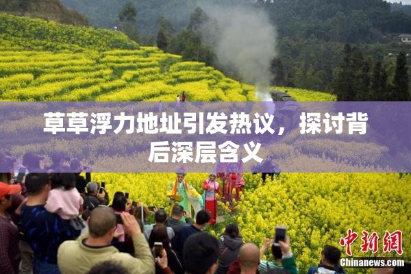 草草浮力地址引发热议，探讨背后深层含义