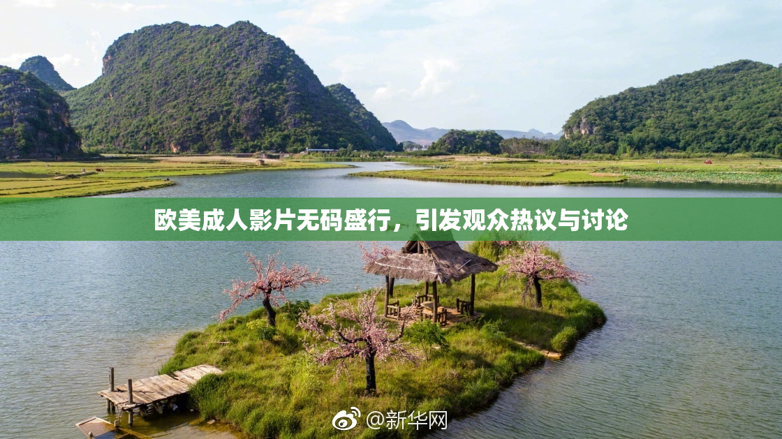 欧美成人影片无码盛行，引发观众热议与讨论