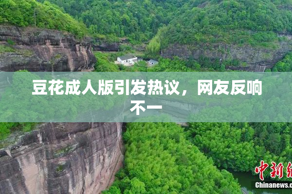 豆花成人版引发热议，网友反响不一