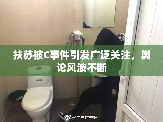 扶苏被C事件引发广泛关注，舆论风波不断