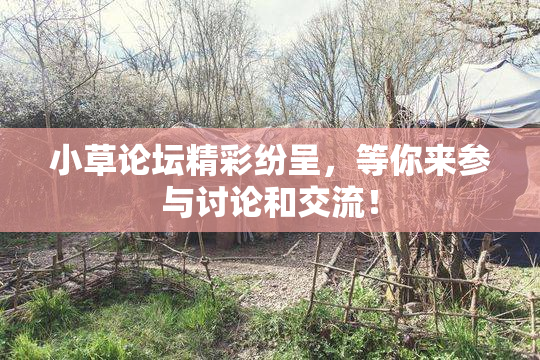 小草论坛精彩纷呈，等你来参与讨论和交流！